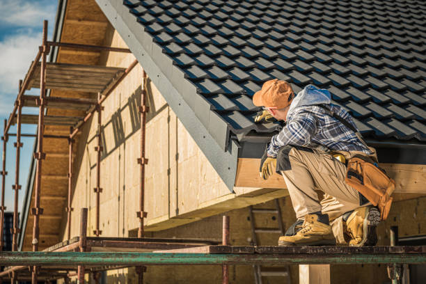 Best Asphalt Shingle Roofing  in Sunnyside, GA