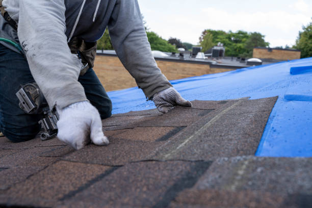 Best Roof Moss and Algae Removal  in Sunnyside, GA